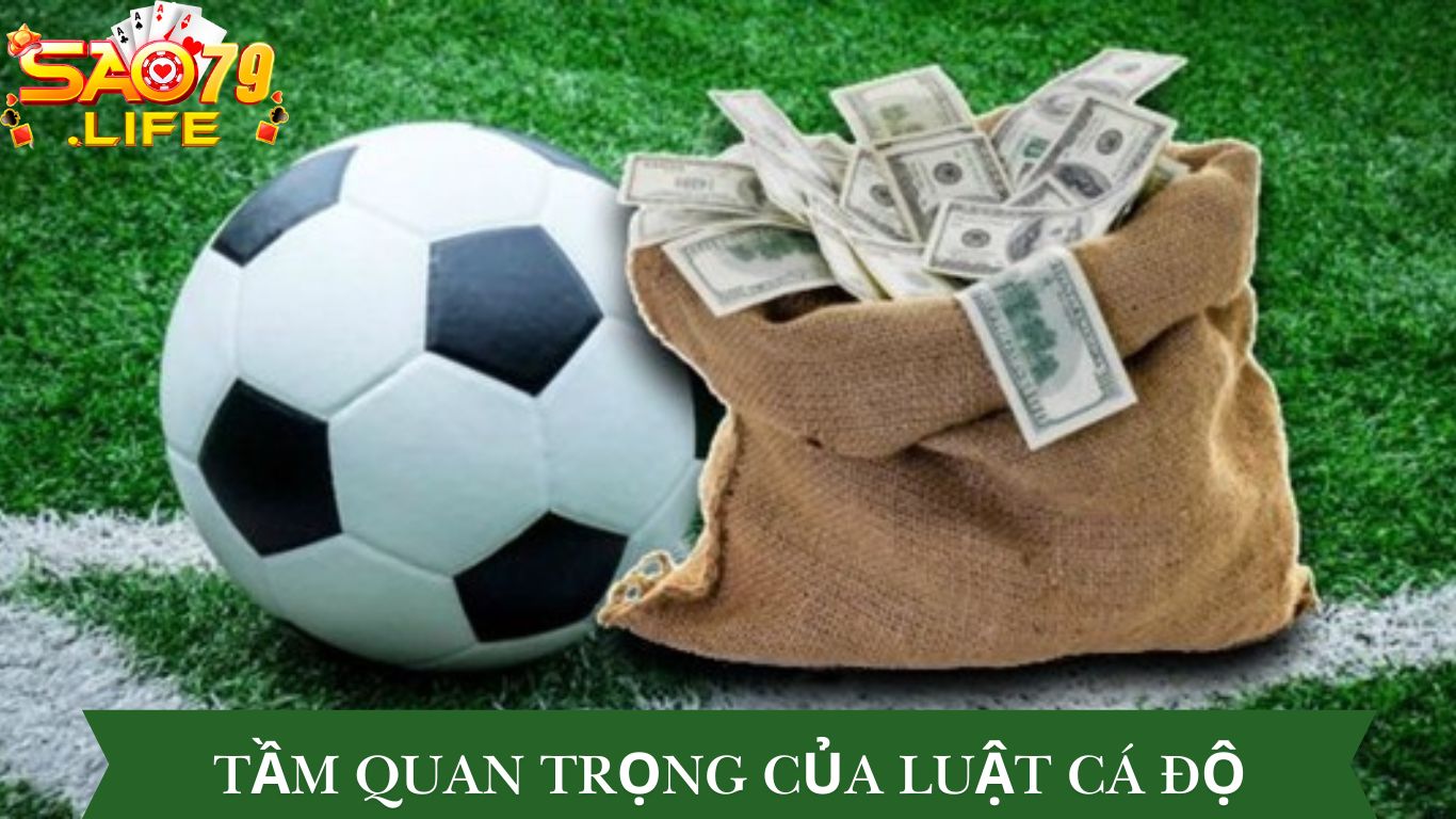 Luật Cá Độ Bóng Đá: Bí Mật Đằng Sau Mỗi Cược Đặt 2 Tầm Quan Trọng Của Luật Cá Độ Bóng Đá SAO79