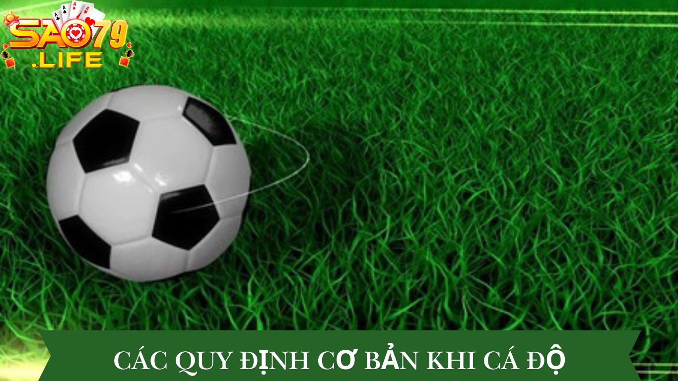 Luật Cá Độ Bóng Đá: Bí Mật Đằng Sau Mỗi Cược Đặt 3 Các Quy Định Cơ Bản Khi Cá Độ Bóng Đá